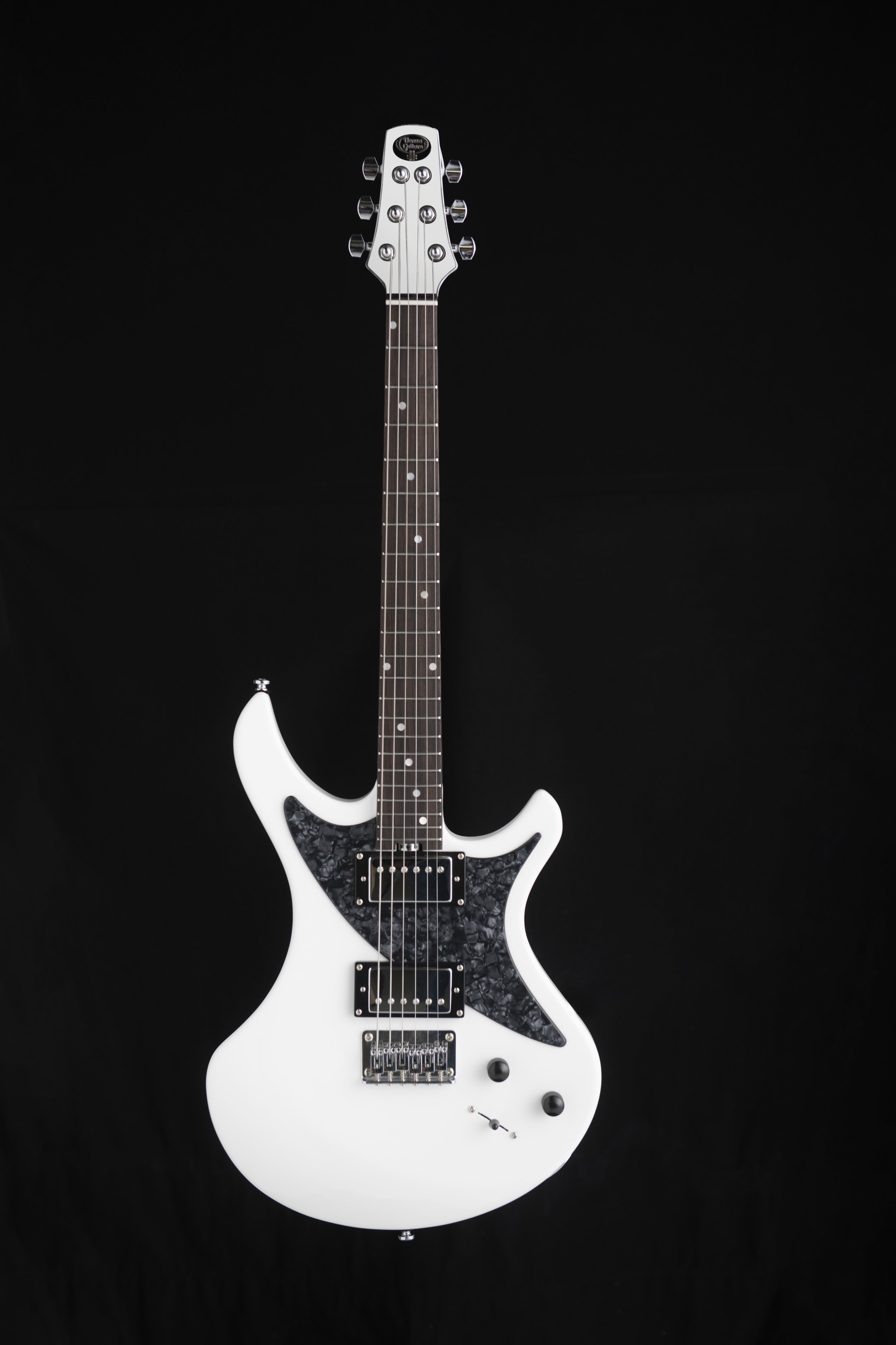Store | Guitars Designed With Women In Mind – Shop Now! — Venus